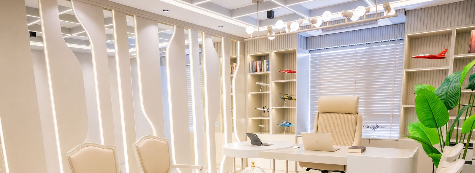 Çalışma masası ve bitkilerle düzenlenmiş aydınlık ofis